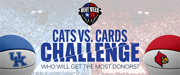 Cats vs. Cards